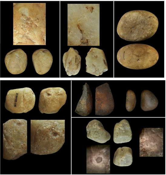 발굴된 카푸친원숭이의 석기 유물 (출처: 네이처 생태와 진화)