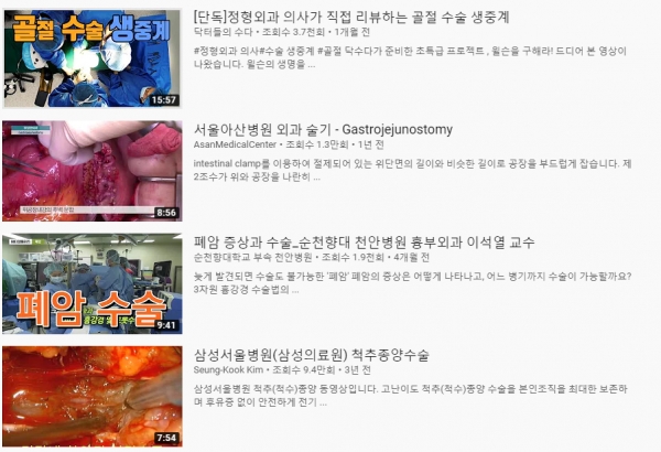 ⓒ 유튜브 검색화면 캡처