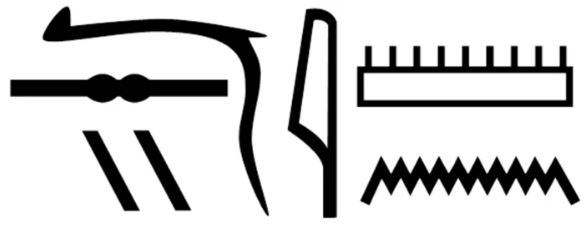 비문에 기록된 네이샤문(Nesyamun) 이름을 의미하는 상형문자