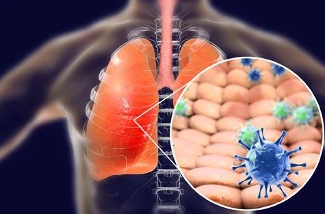 ⓒ데일리포스트=이미지 제공