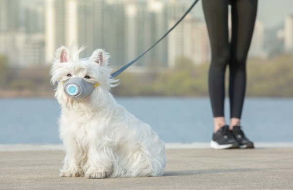 ⓒ데일리포스트=이미지 제공