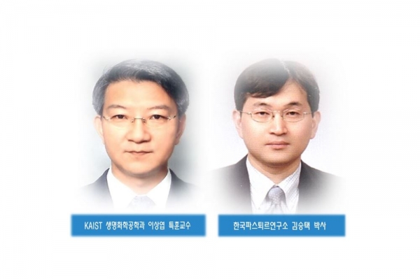 ⓒ데일리포스트=이미지 제공 / 한국과학기술원