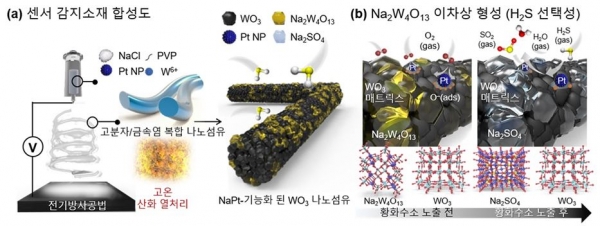 (a) 나트륨과 백금 촉매가 기능화된 텅스텐 산화물 나노섬유 합성 모식도. (b) 황화수소 가스에 대한 반응 메커니즘 설명 모식도.