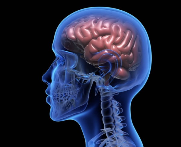 ⓒ데일리포스트=이미지 제공/Pixabay