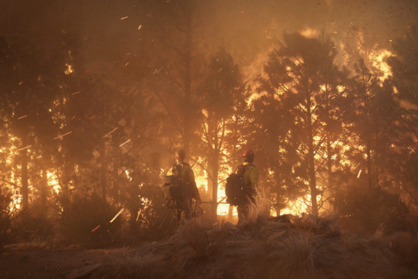 ⓒ데일리포스트=이미지 제공/'온리 더 브레이브' 스틸컷