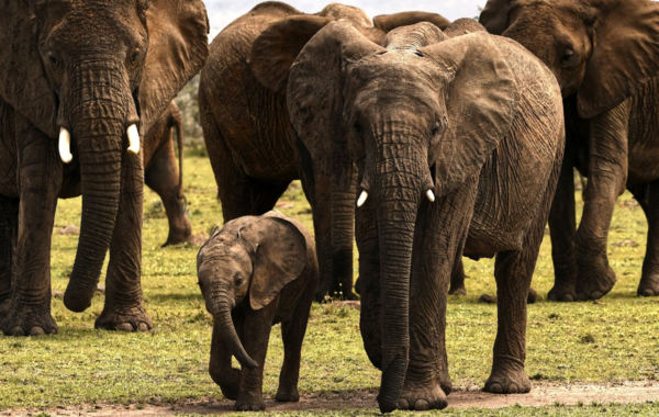ⓒ데일리포스트=이미지 제공/Unsplash