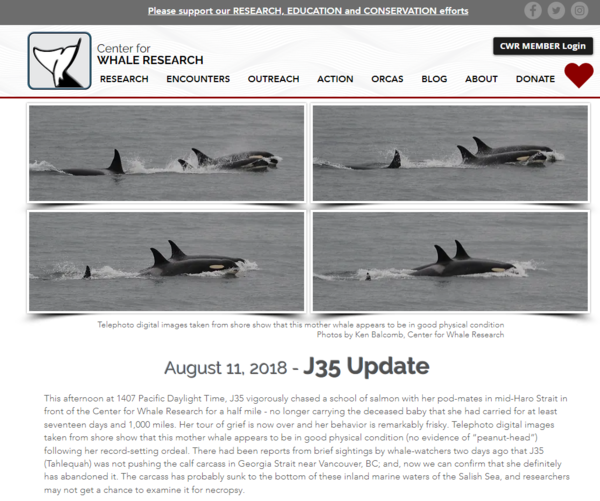 ⓒ데일리포스트=이미지 제공/미국 고래연구 센터 블로그