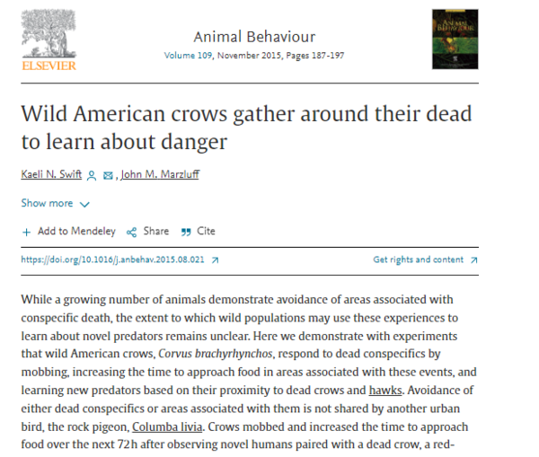 ⓒ데일리포스트=이미지 제공/Animal Behaviour