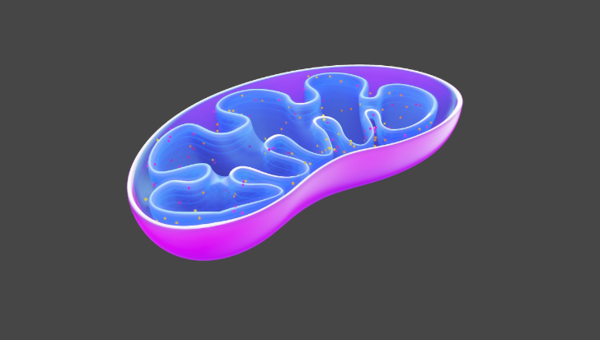 ⓒ데일리포스트=이미지 제공/Pixabay
