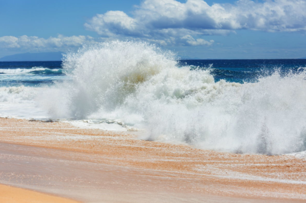 ⓒ데일리포스트=이미지 제공/Pixabay