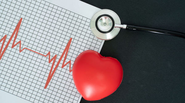 ⓒ데일리포스트=이미지 제공/Flickr