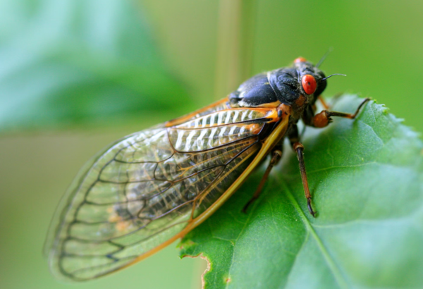 ⓒ데일리포스트=이미지 제공/Pixabay