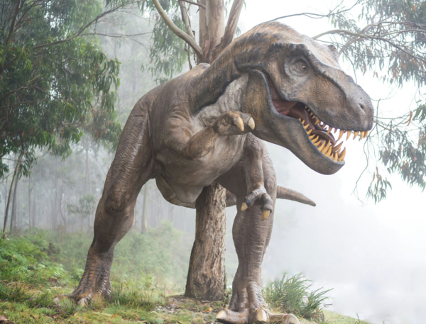 ⓒ데일리포스트=이미지 제공/Flickr