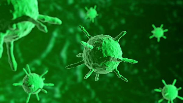 ⓒ데일리포스트=이미지 제공/Pixabay