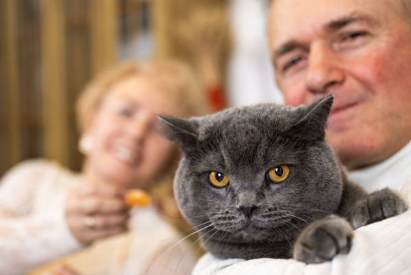 ⓒ데일리포스트=이미지 제공/Pixabay