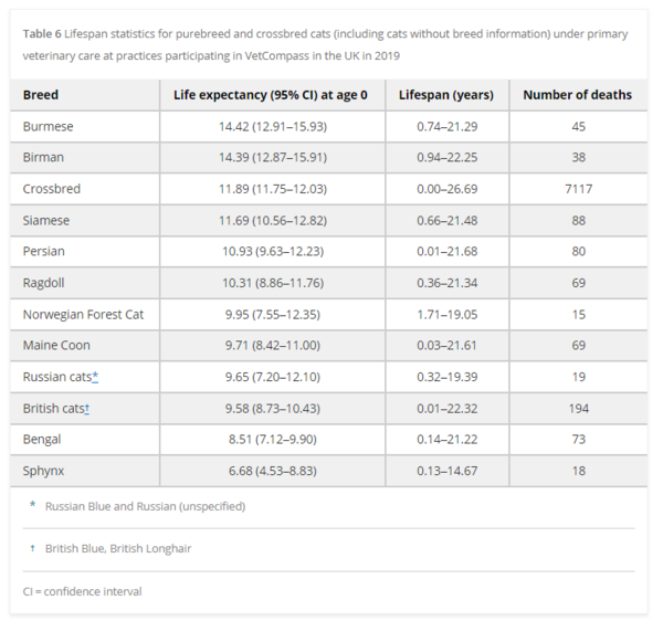 ⓒ데일리포스트=이미지 제공/Journal of Feline Medicine and Surgery