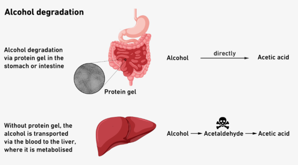 ⓒ데일리포스트=이미지 제공/Nature Nanotechnology