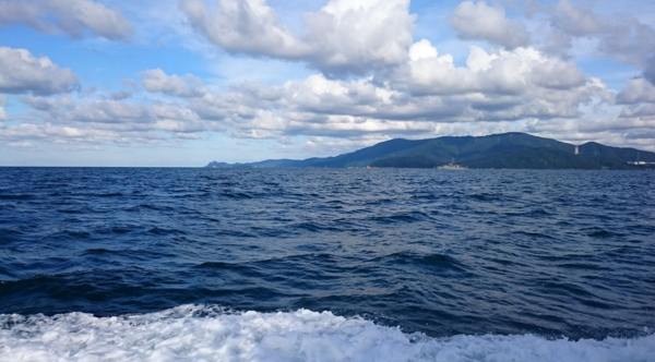 ⓒ데일리포스트=이미지 제공/Pixabay