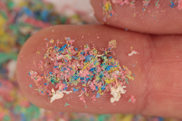 ⓒ데일리포스트=이미지 제공/Pixabay