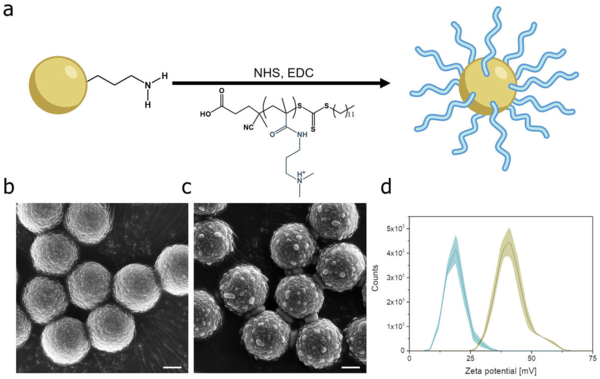 ⓒ데일리포스트=이미지 제공/체코 중앙유럽공과대 연구팀