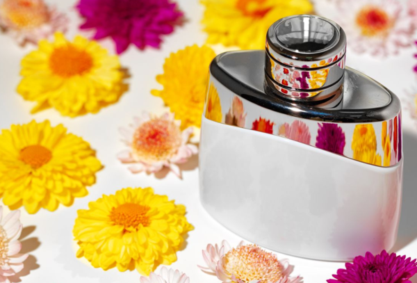 ⓒ데일리포스트=이미지 출처/Flickr