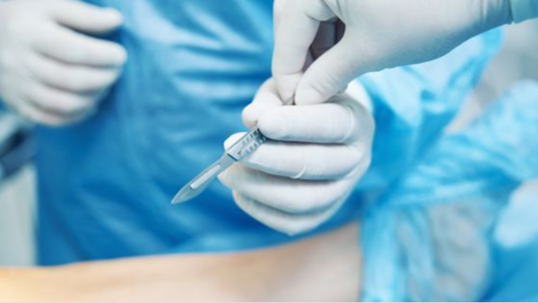 ⓒ데일리포스트=이미지 출처/Pixabay