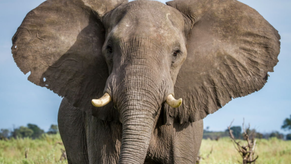 ⓒ데일리포스트=이미지 제공/Pixabay