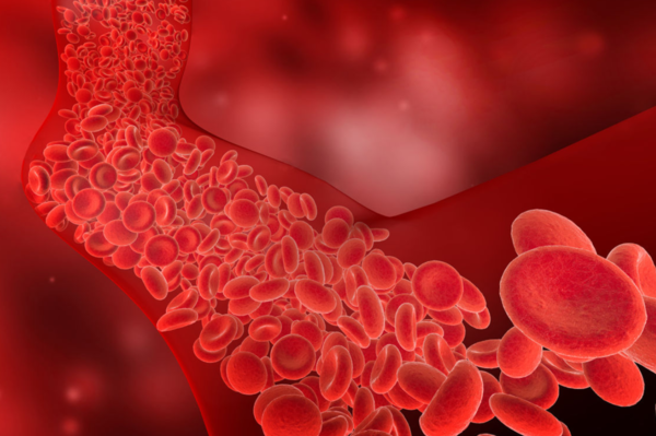 ⓒ데일리포스트=이미지 제공/Unsplash