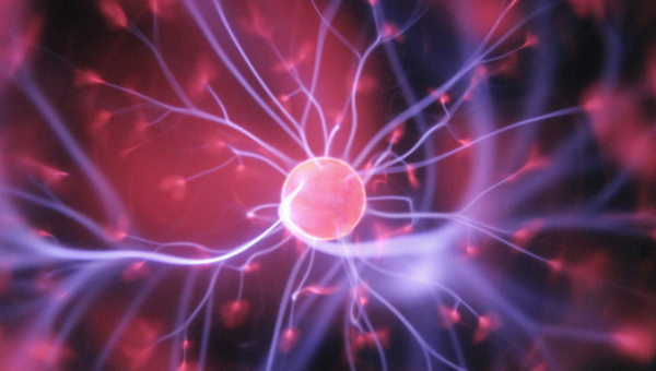 ⓒ데일리포스트=이미지 출처/Unsplash