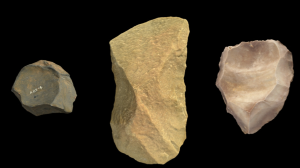 ⓒ데일리포스트=이미지 출처/PNAS