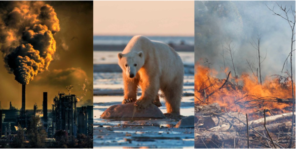  ⓒ데일리포스트=이미지 출처/Pixabay