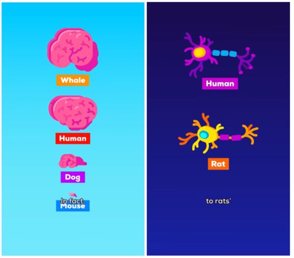 ⓒ데일리포스트=이미지 출처/Kurzgesagt