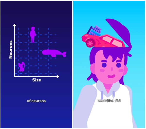 ⓒ데일리포스트=이미지 출처/Kurzgesagt