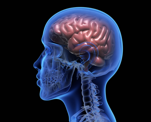 ⓒ데일리포스트=이미지 출처/Pixabay