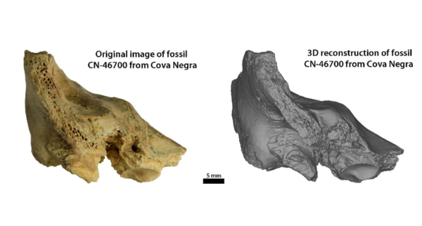 ⓒ데일리포스트=이미지 출처/Science Advances