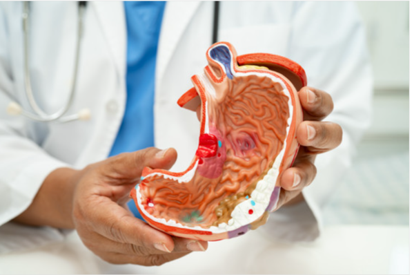 ⓒ데일리포스트=이미지 출처/Unsplash 