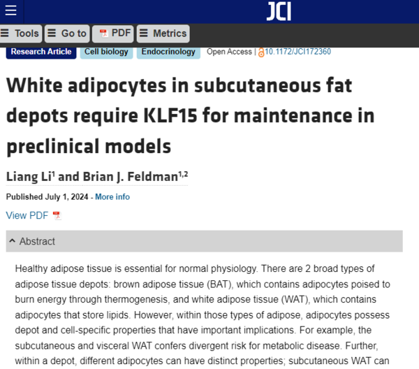 ⓒ데일리포스트=이미지 제공/Journal of Clinical Investigation