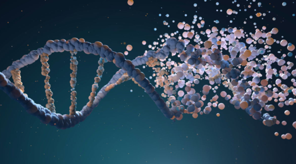 ⓒ데일리포스트=이미지 제공/Pixabay