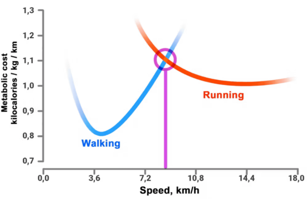ⓒ데일리포스트=이미지 제공/The Conversation