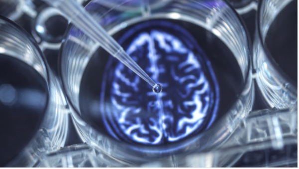 ⓒ데일리포스트=이미지 제공/Pxhere