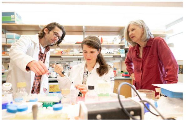 ⓒ데일리포스트=이미지 제공/UCSF