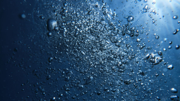 ⓒ데일리포스트=이미지 제공/Flick