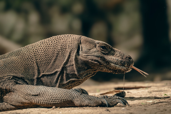 ⓒ데일리포스트=이미지 제공/Unsplash 