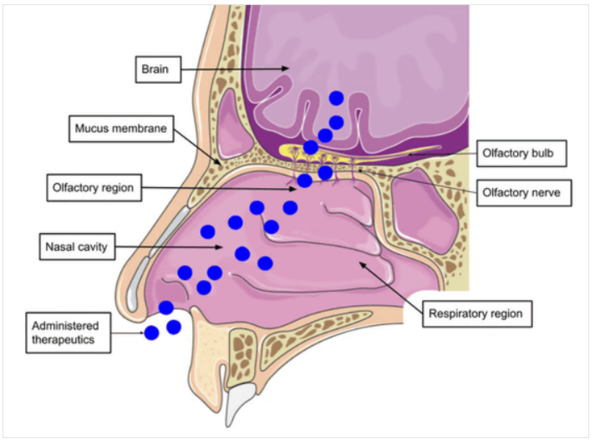 ⓒ데일리포스트=이미지 출처/UTMB News
