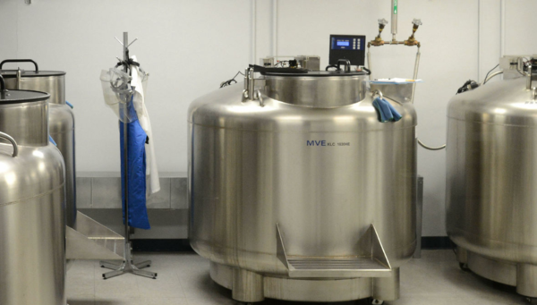 ⓒ데일리포스트=이미지 출처/미국 자연사 박물관 홈페이지 