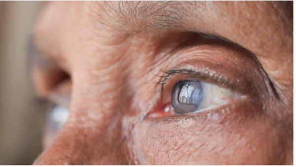 ⓒ데일리포스트=이미지 출처/Pixabay