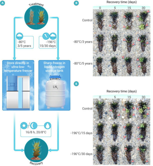 ⓒ데일리포스트=이미지 제공/The Innovation