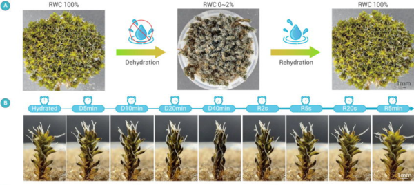 ⓒ데일리포스트=이미지 제공/The Innovation