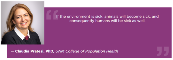 ⓒ데일리포스트=이미지 제공/HSC Newsroom