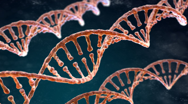 ⓒ데일리포스트=이미지 제공/Flickr